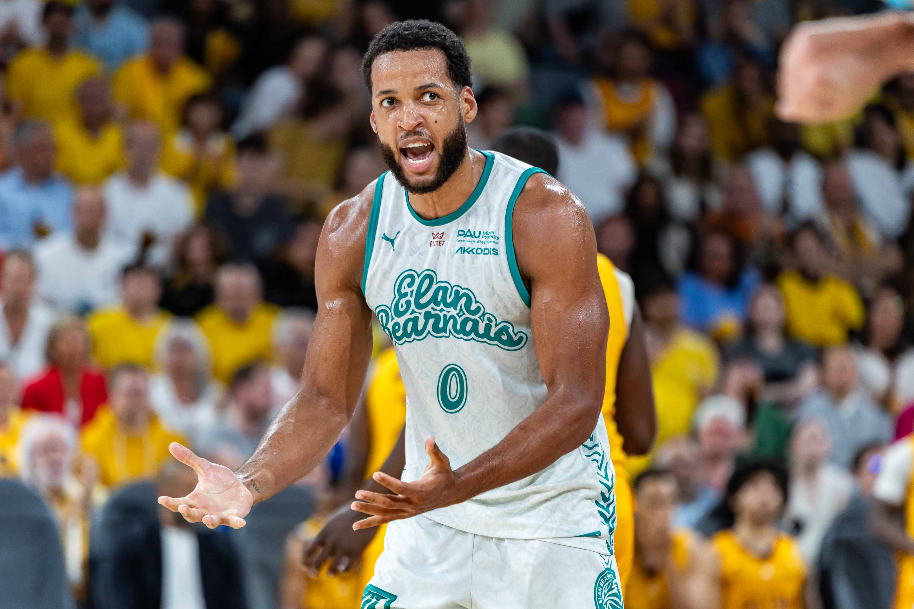 PAU-LACQ-ORTHEZ SE QUALIFIE POUR LA FINALE DES PLAYOFFS D'ACCESSION BETCLIC ÉLITE !